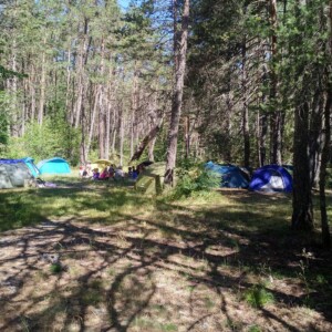 Camping proche du Verdon Allos Alpes